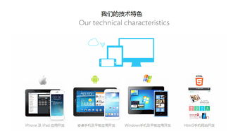 軟件通產(chǎn)品圖文介紹